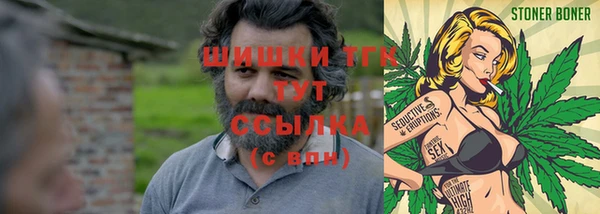 винт Алексин